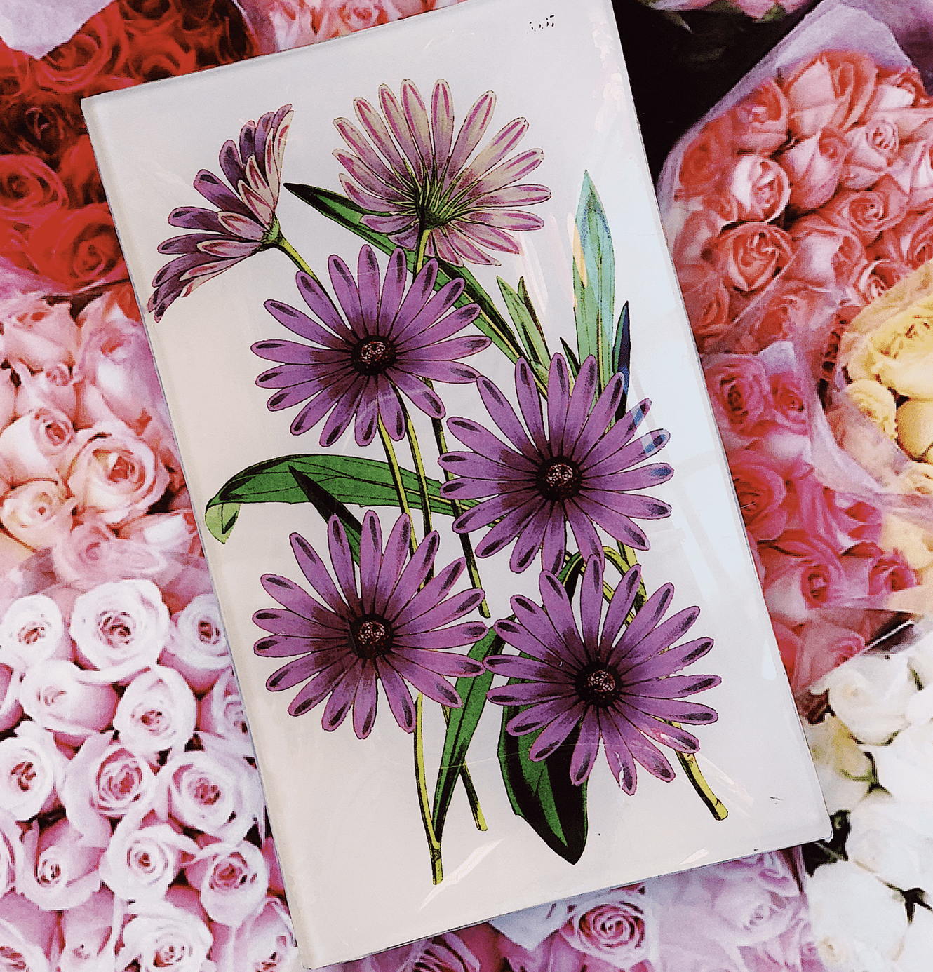 Purple Daisy Blossoms Decoupage Glass Tray - Bensgarden.com