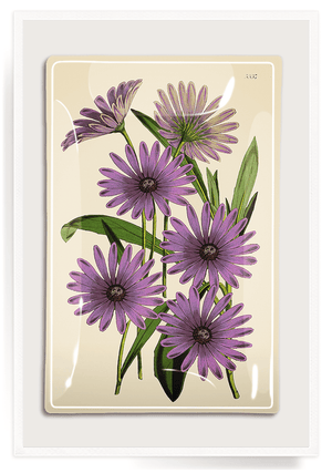 Purple Daisy Blossoms Decoupage Glass Tray - Bensgarden.com