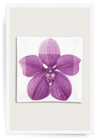 Purple Orchid Decoupage Glass Tray - Bensgarden.com