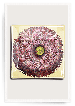 Purple Poppy Decoupage Glass Tray - Bensgarden.com