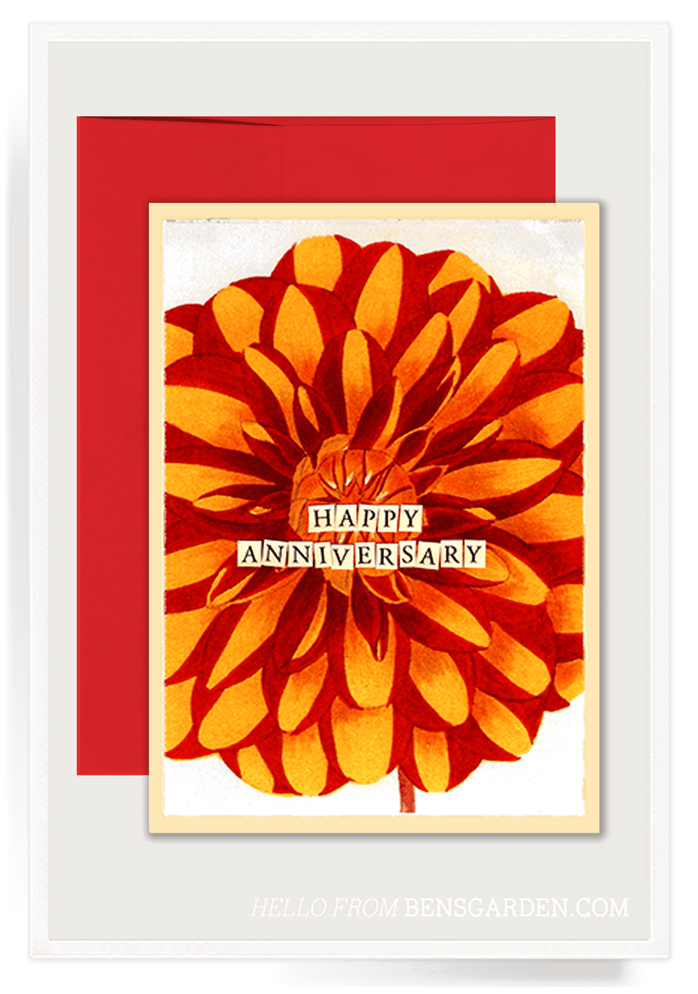 Red Dahlia Anniversary Folded Greeting Card - Bensgarden.com