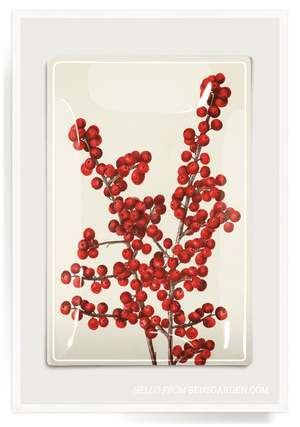 Red Holiday Berry Decoupage Glass Tray - Bensgarden.com