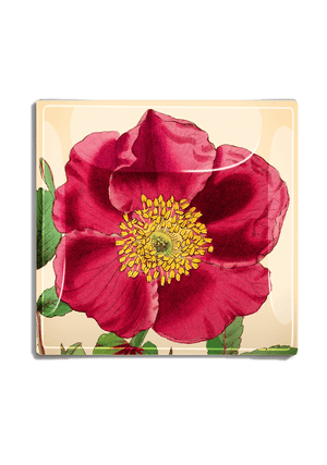 Red Rose Flower with Green Stem Decoupage Glass Tray - Bensgarden.com