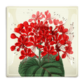 Red Tropical Flower Decoupage Glass Tray - Bensgarden.com