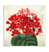 Red Tropical Flower Decoupage Glass Tray - Bensgarden.com