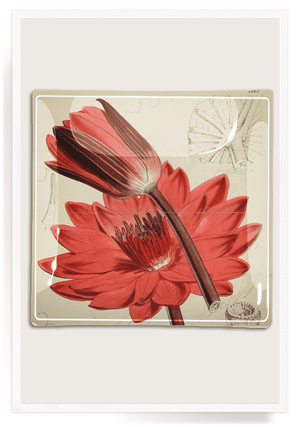 Red Waterlily Decoupage Glass Tray - Bensgarden.com