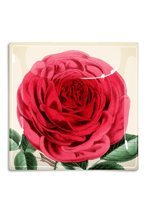 Rose Flower With Green Stem Decoupage Glass Tray - Bensgarden.com