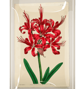 Scarlett Lily Decoupage Glass Tray - Bensgarden.com