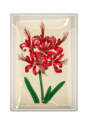 Scarlett Lily Decoupage Glass Tray - Bensgarden.com