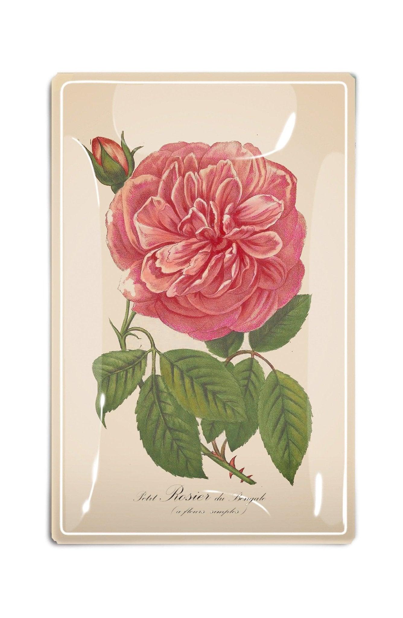 Single Pink Flutter David Austin Rose Stem Decoupage Glass Tray - Bensgarden.com