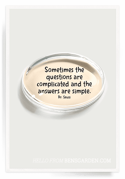 Sometimes The Questions Crystal Dome Paperweight - Bensgarden.com