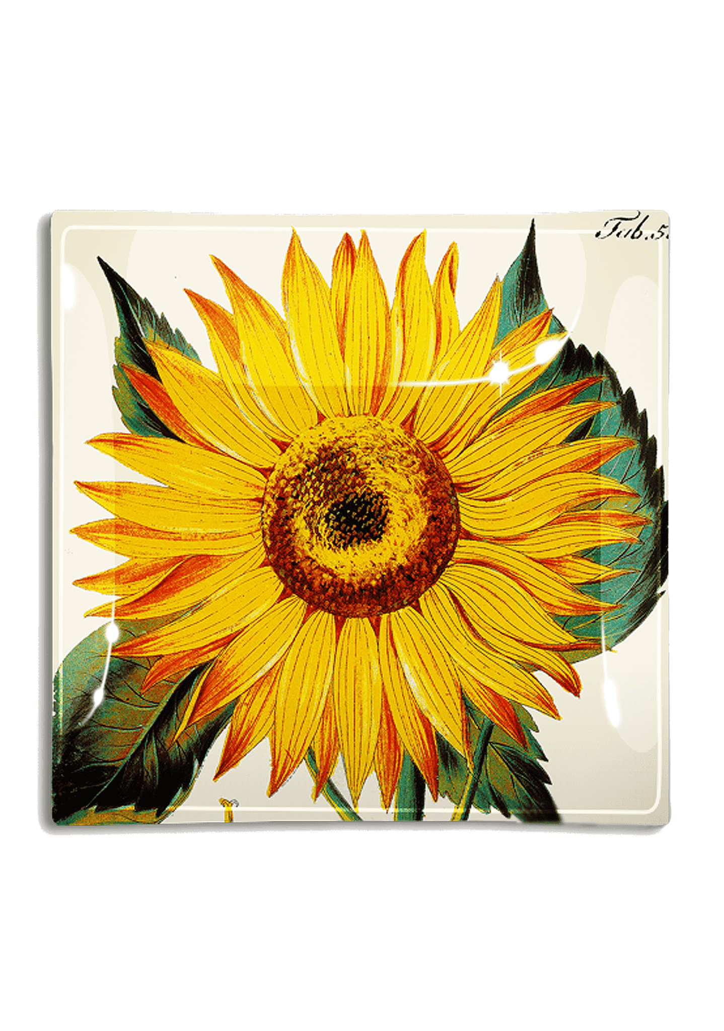 Sunflower Decoupage Glass Tray - Bensgarden.com