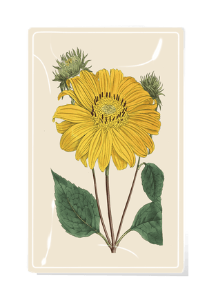 Sunflower No.4 Decoupage Glass Tray - Bensgarden.com