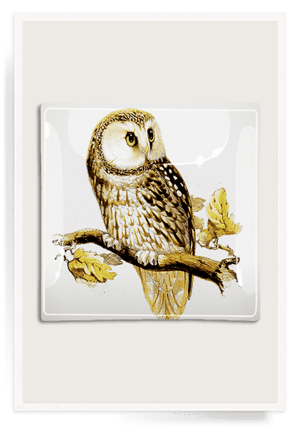 Sweet Owl Decoupage Glass Tray - Bensgarden.com