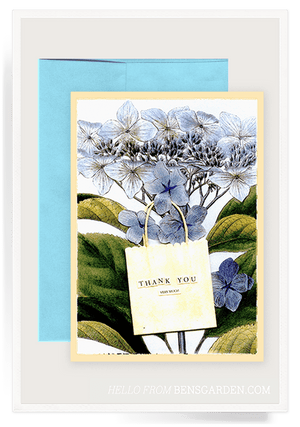 Thank You Hydrangea Folded Greeting Card - Bensgarden.com