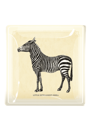 The Intelligent Little Zebra - Bensgarden.com