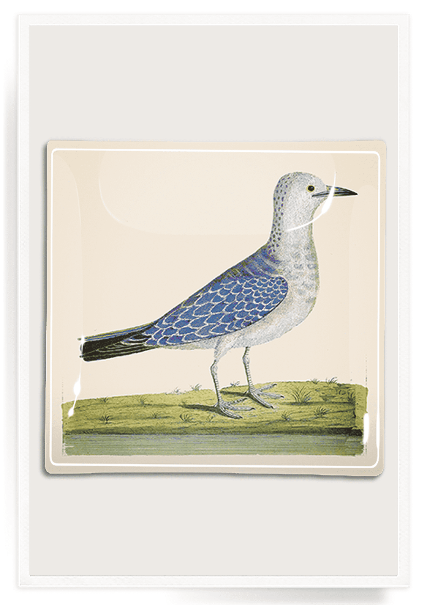 Thoughtful Blue Bird Decoupage Glass Tray - Bensgarden.com