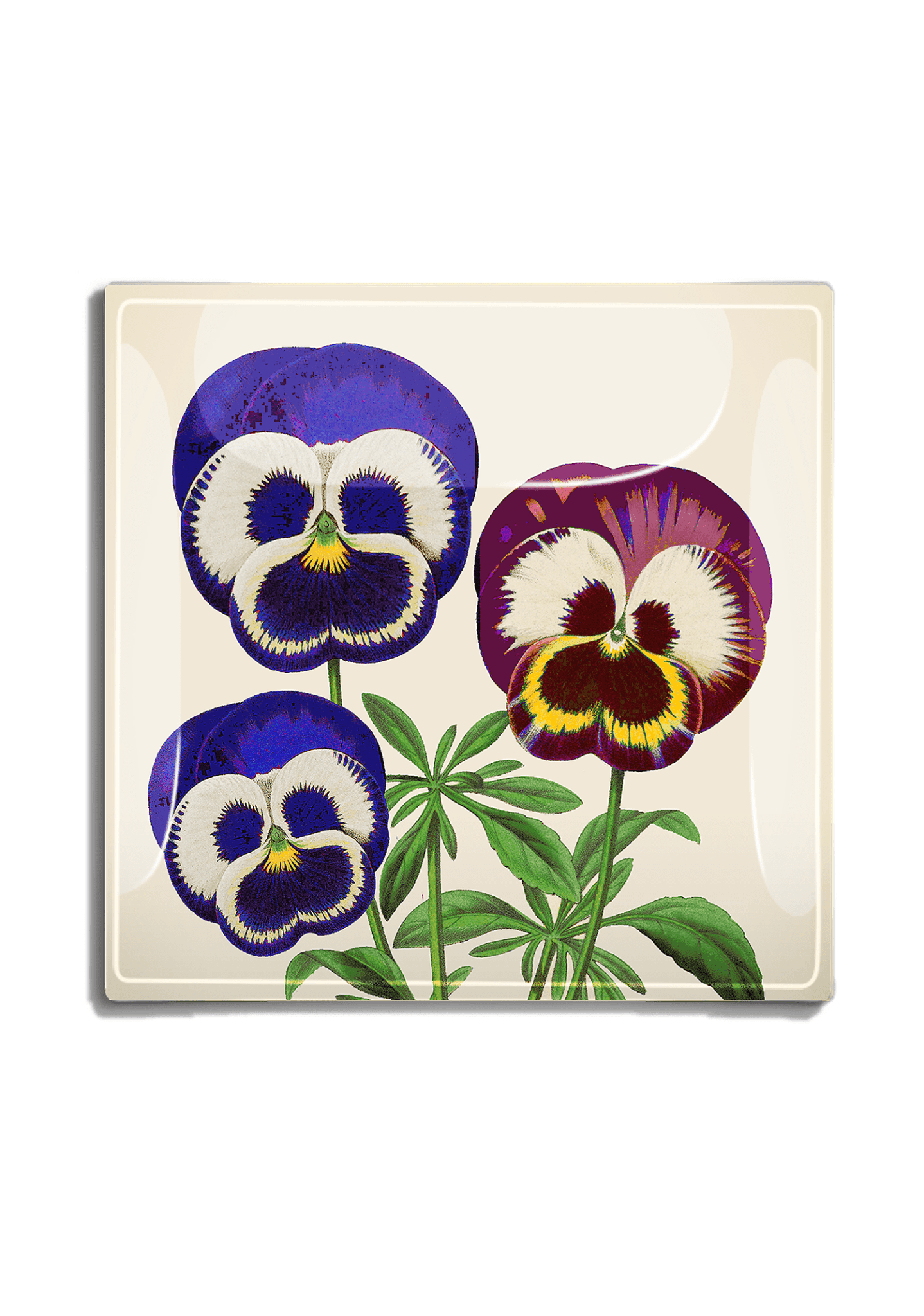 Three Pansy Flowers Decoupage Glass Tray - Bensgarden.com