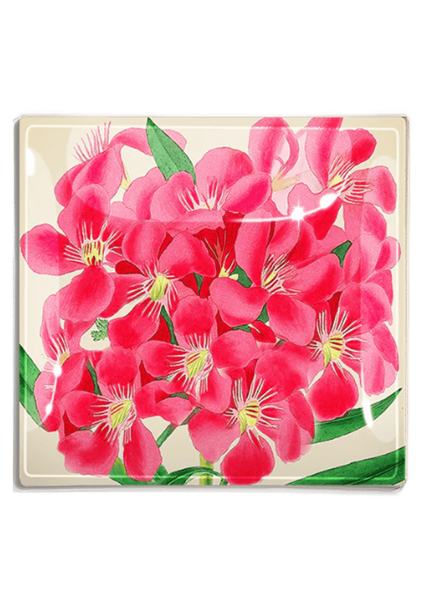 Tropical Pink Flower Decoupage Glass Tray - Bensgarden.com