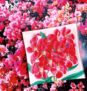 Tropical Pink Flower Decoupage Glass Tray - Bensgarden.com