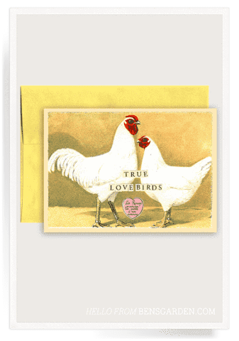 True Love Birds Folded Greeting Card - Bensgarden.com