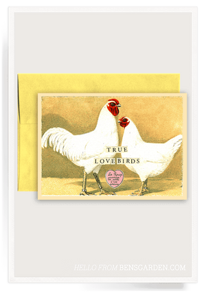True Lovebirds Folded Greeting Card - Bensgarden.com