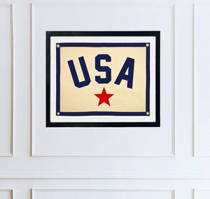 USA Star Cut-And-Sewn Wool Felt Pennant Flag - Bensgarden.com