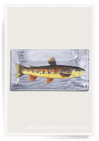 Vintage Fish No. 2 Decoupage Glass Tray - Bensgarden.com