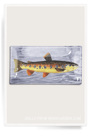 Vintage Fish No. 2 Decoupage Glass Tray - Bensgarden.com