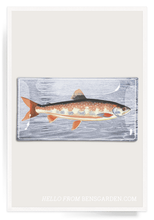 Vintage Fish No. 3 Decoupage Glass Tray - Bensgarden.com