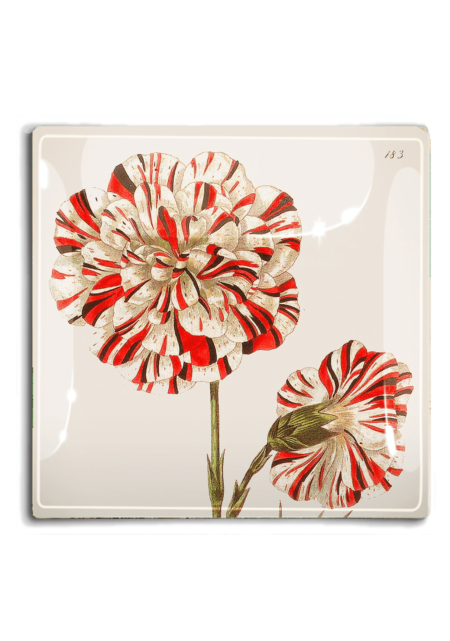 Winter Blossom Christmas Decoupage Glass Tray - Bensgarden.com