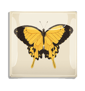 Yellow and Black Chilean Butterfly Decoupage Glass Tray - Bensgarden.com