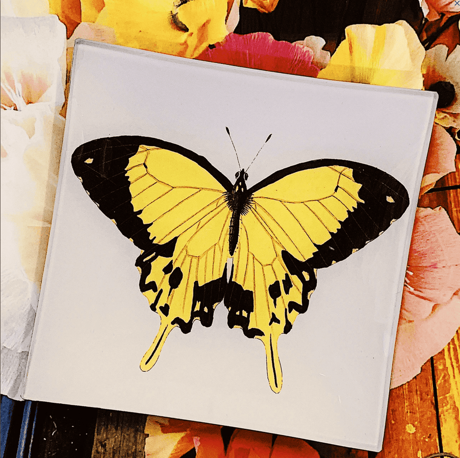 Yellow and Black Chilean Butterfly Decoupage Glass Tray - Bensgarden.com