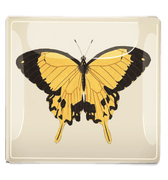 Yellow and Black Chilean Butterfly Decoupage Glass Tray - Bensgarden.com