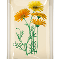 Yellow Daisies Decoupage Glass Tray - Bensgarden.com