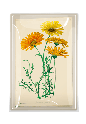 Yellow Daisies Decoupage Glass Tray - Bensgarden.com
