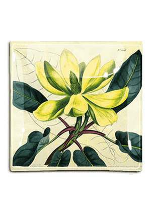 Yellow Magnolia No. 1206 Decoupage Glass Tray - Bensgarden.com