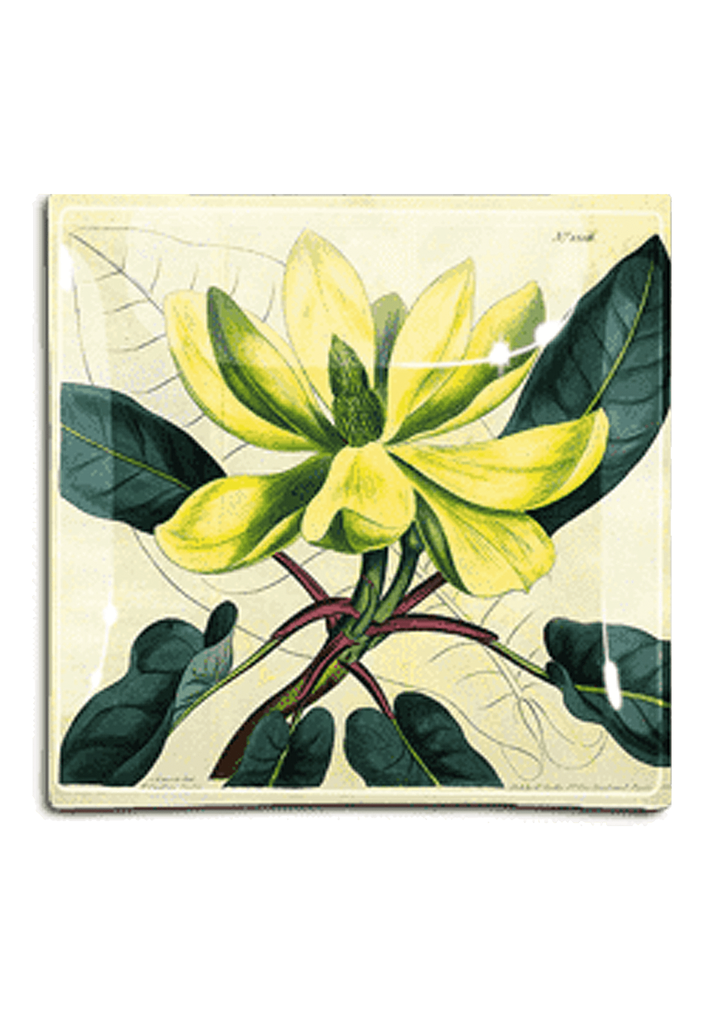 Yellow Magnolia No. 1206 Decoupage Glass Tray - Bensgarden.com
