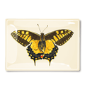 Yellow Speckled Chilean Butterfly Decoupage Glass Tray - Bensgarden.com