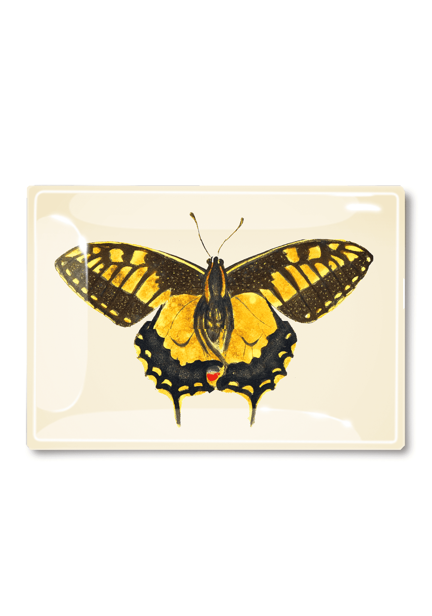 Yellow Speckled Chilean Butterfly Decoupage Glass Tray - Bensgarden.com