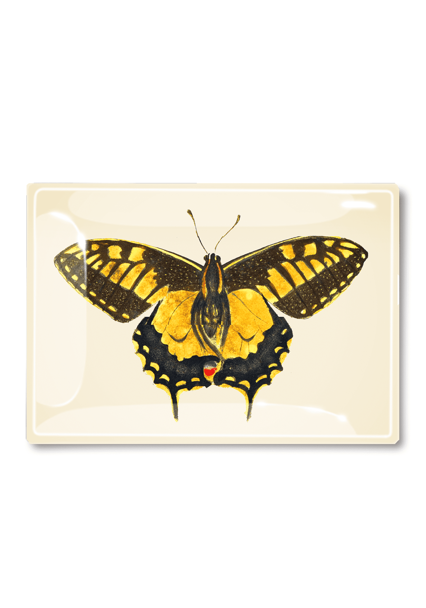 Yellow Speckled Chilean Butterfly Decoupage Glass Tray - Bensgarden.com